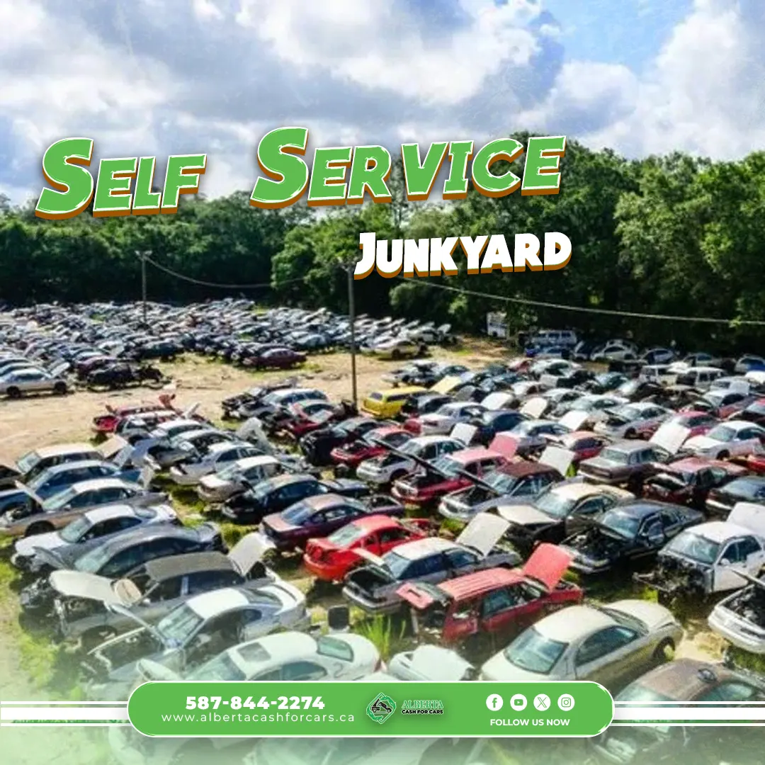 Self Service Junkyard