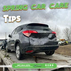 Essential Spring Car Care Tips