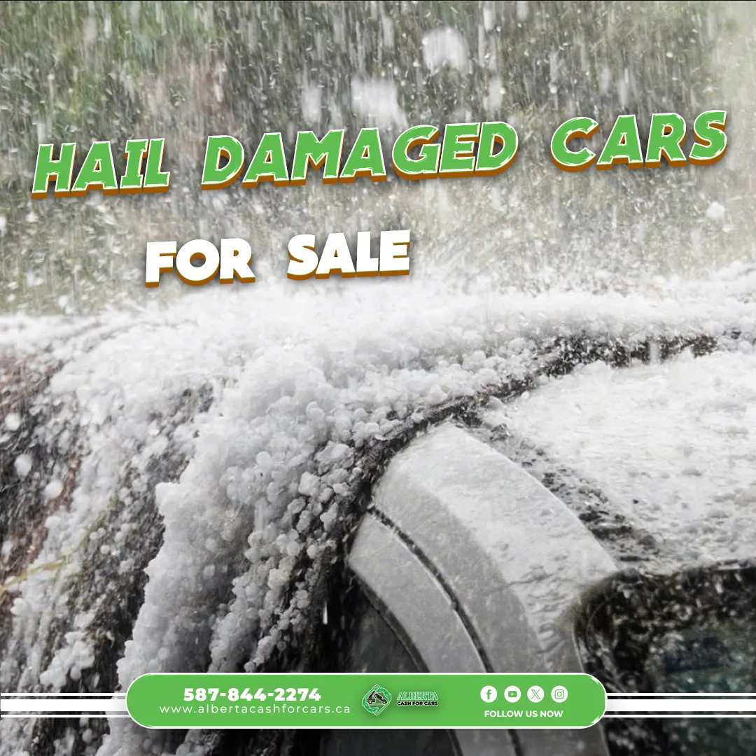 hail damages cars for sale