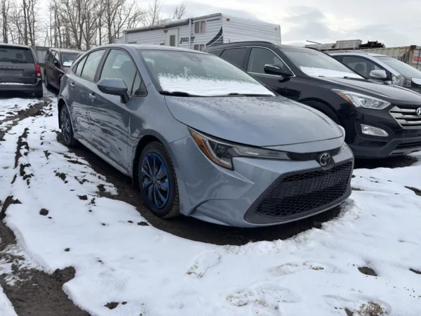Toyota Corolla - Image 2