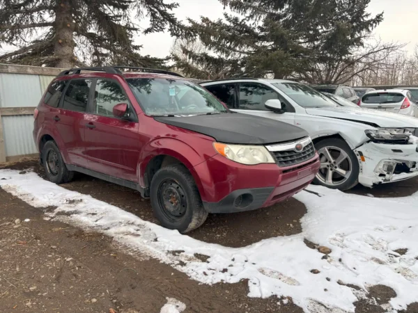 Subaru Forrester - Image 2