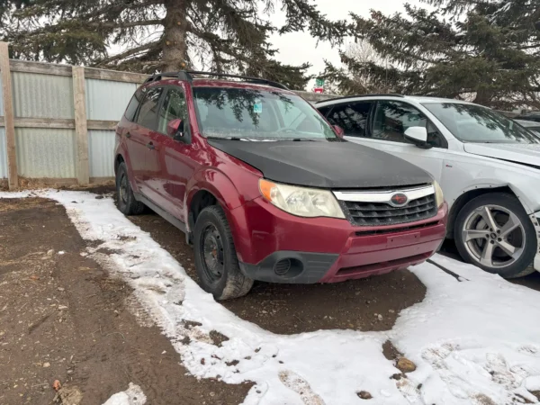 Subaru Forrester - Image 3
