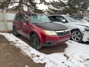 Subaru Forrester