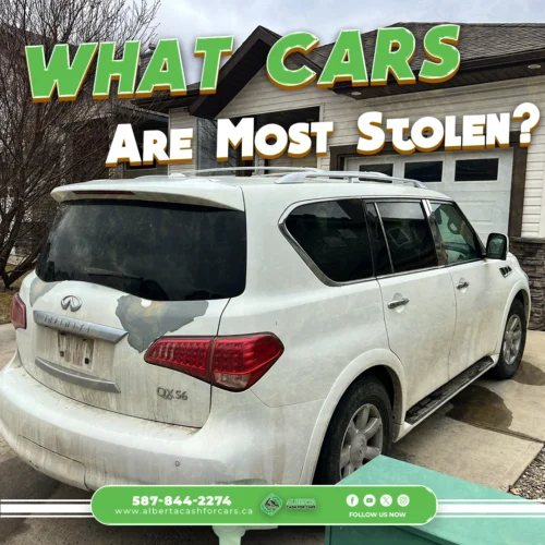 White Infiniti QX56 SUV parked in a driveway with overlay text “What Cars Are Most Stolen?” and Alberta Cash for Cars branding.
