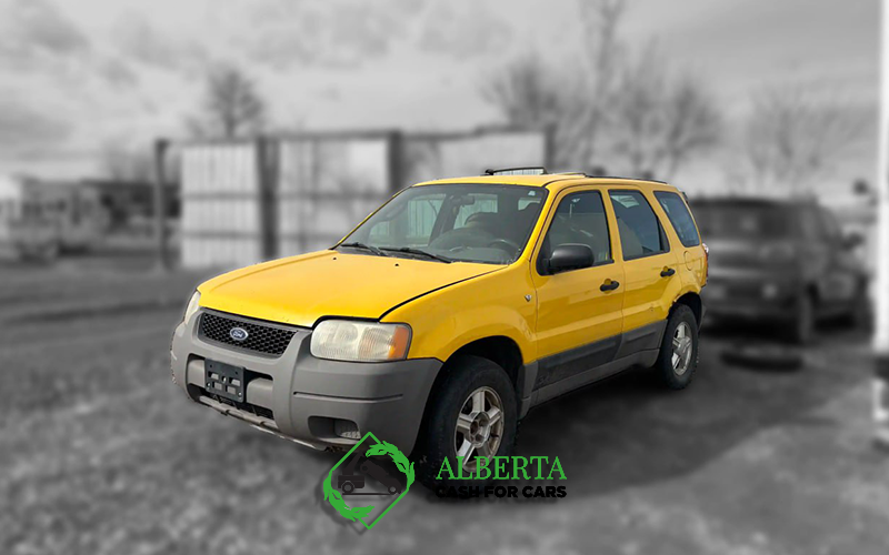 Yellow Ford Escape SUV parked outdoors, Alberta Cash for Cars logo, scrap car removal context, grey overcast background.