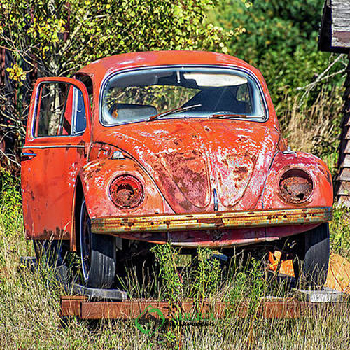 Scrapped car in a yard