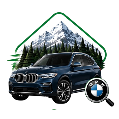 3 Series and X5 specialists Calgary